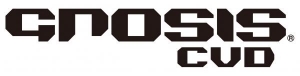 Logotipo Work Wheels México Gnosis CVD